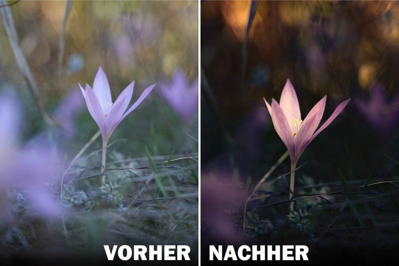Weitere Bildbearbeitungsmöglichkeiten am Beispiel von Luminar Neo - Bildbearbeitung: So holst du das Beste aus RAW-Fotos