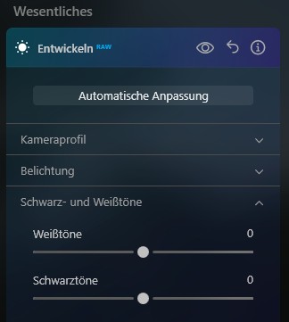 Weiß- und Schwarztöne anpassen in Luminar Neo (Skylum)